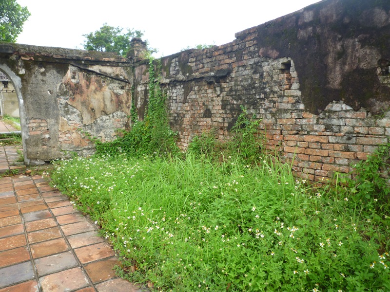 P1020543 P1020543
