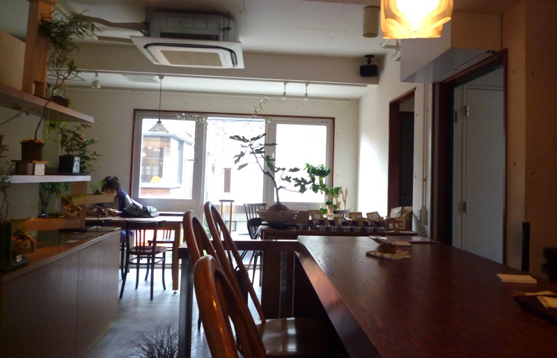 P1020695 P1020695