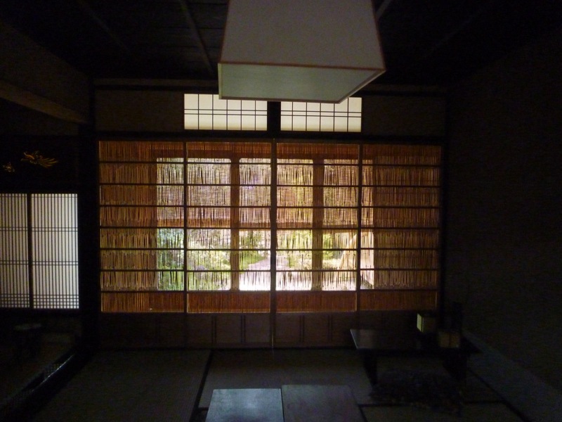 P1110035 P1110035