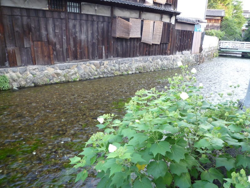 P1010903 P1010903